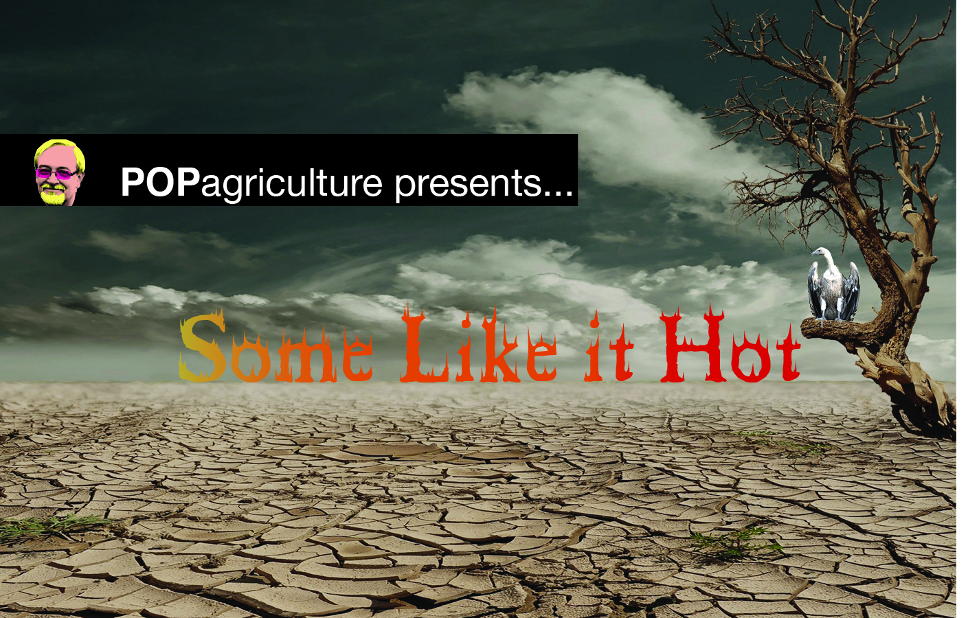 Some Like it Hot.jpg