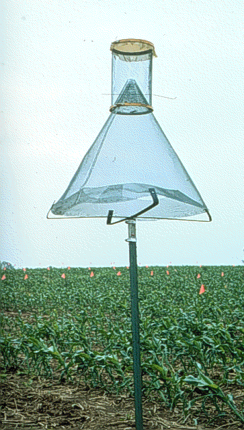 Figure 3: Pheromone Trap: Univ. Kentucky http://entomology.ca.uky.edu/ef112