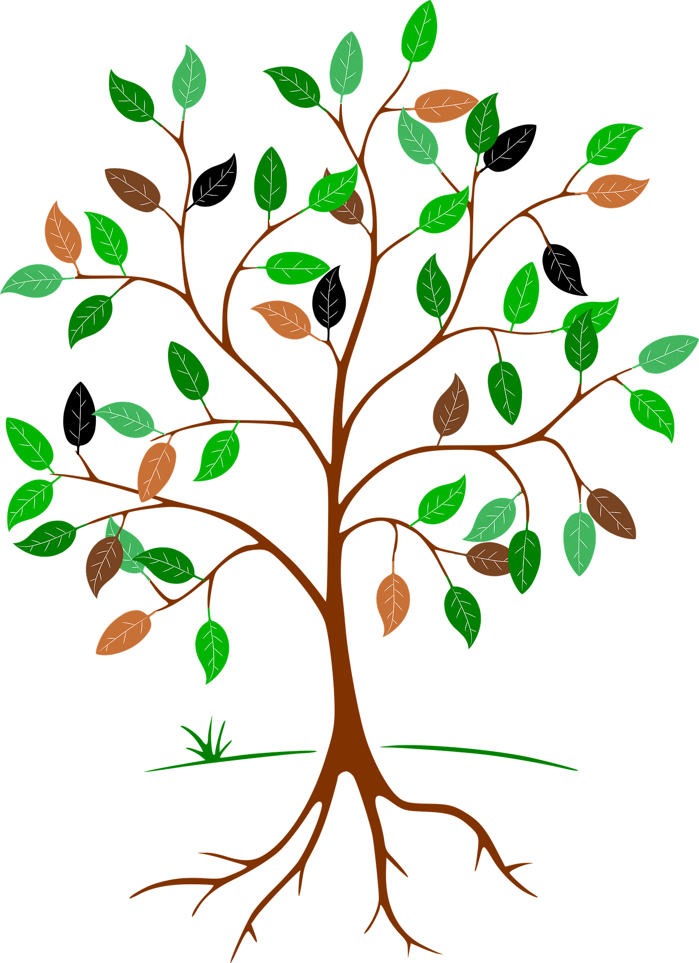 Figure 1 Picture by Hebi B. via Pixabay