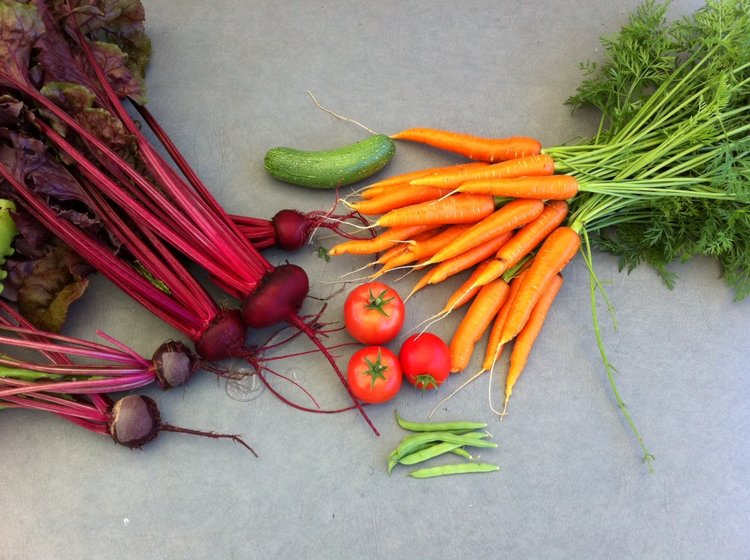 A good day's harvest from my garden a couple of years ago.