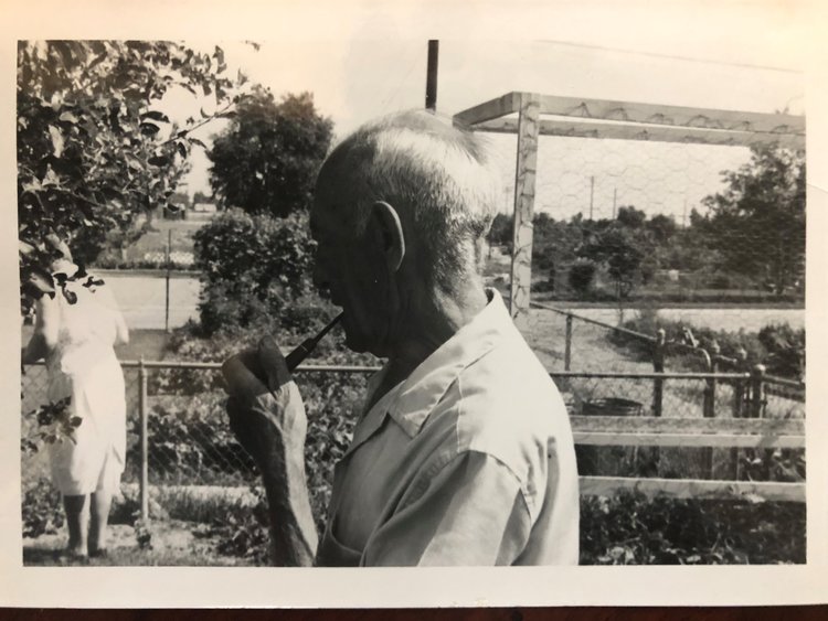 My grandpa out in his garden.