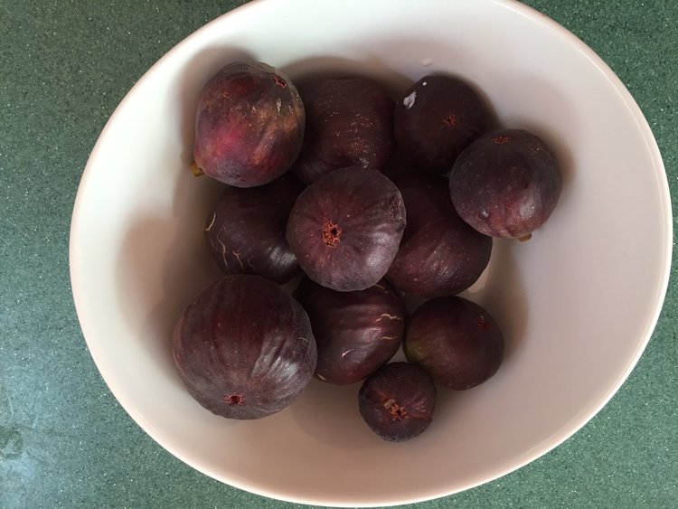 Some of our figs.