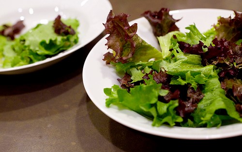 Freshly picked lettuce leaves.