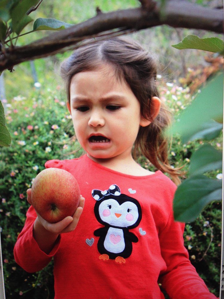 My grand daughter's reaction to seeing pest damage on one of my apples! She thinks that â€œpests are yucky!â€