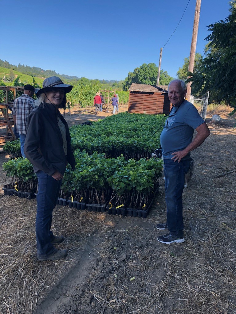 Dr. Don Hopkins from the University of Florida (right) and Sonoma County grape farm advisor Rhonda Smith (left). We spent two days planting the young grapevines pictured here for a Pierce's Disease biocontrol trial this summer.