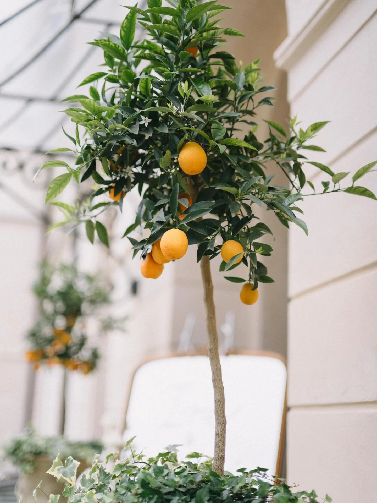 Little things.
They set the tone.