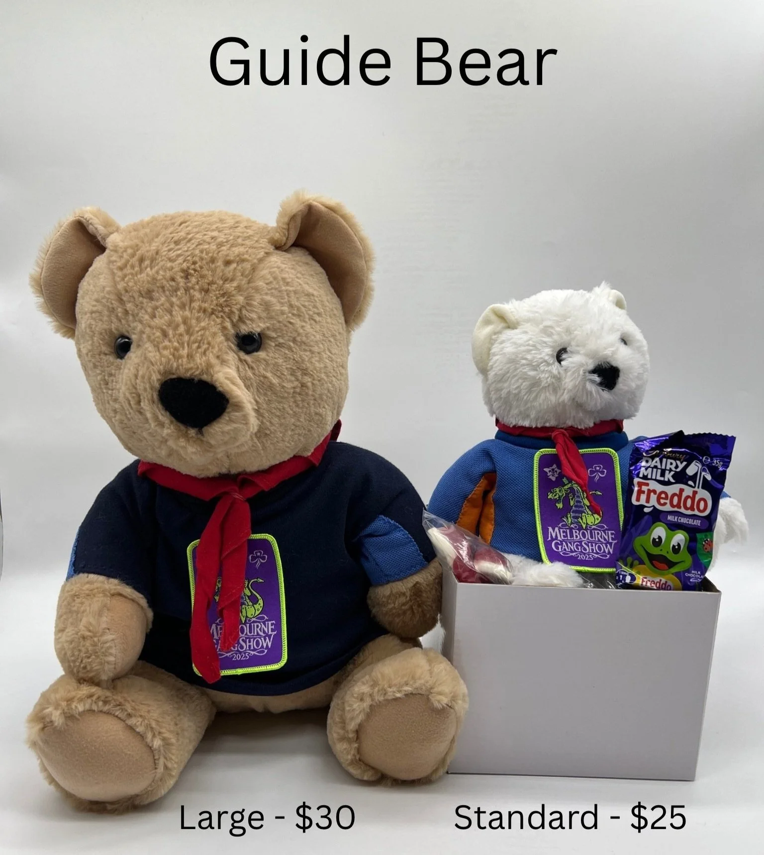 2025 Guide Bear.jpeg