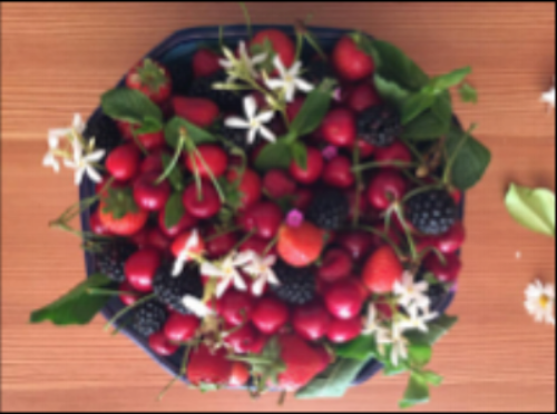 fruit biacesa ledro.png