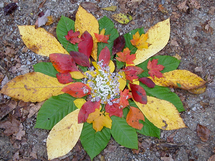 WLeafMandala.jpg