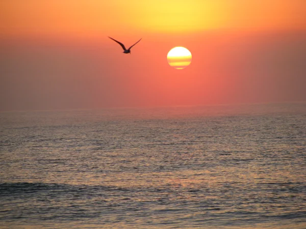 Sunrise over Edisto Beach