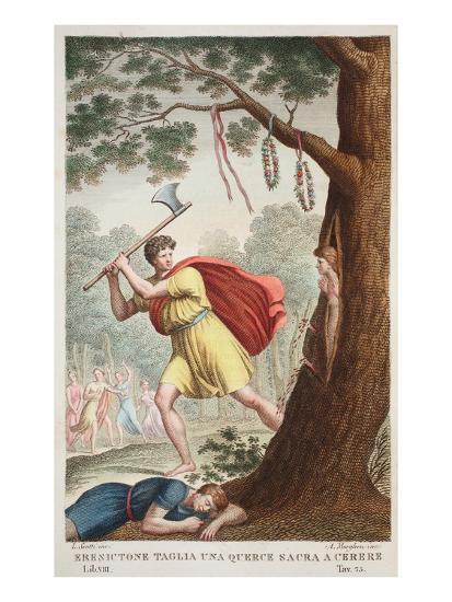 The Wrath of Demeter // the power to stand in No