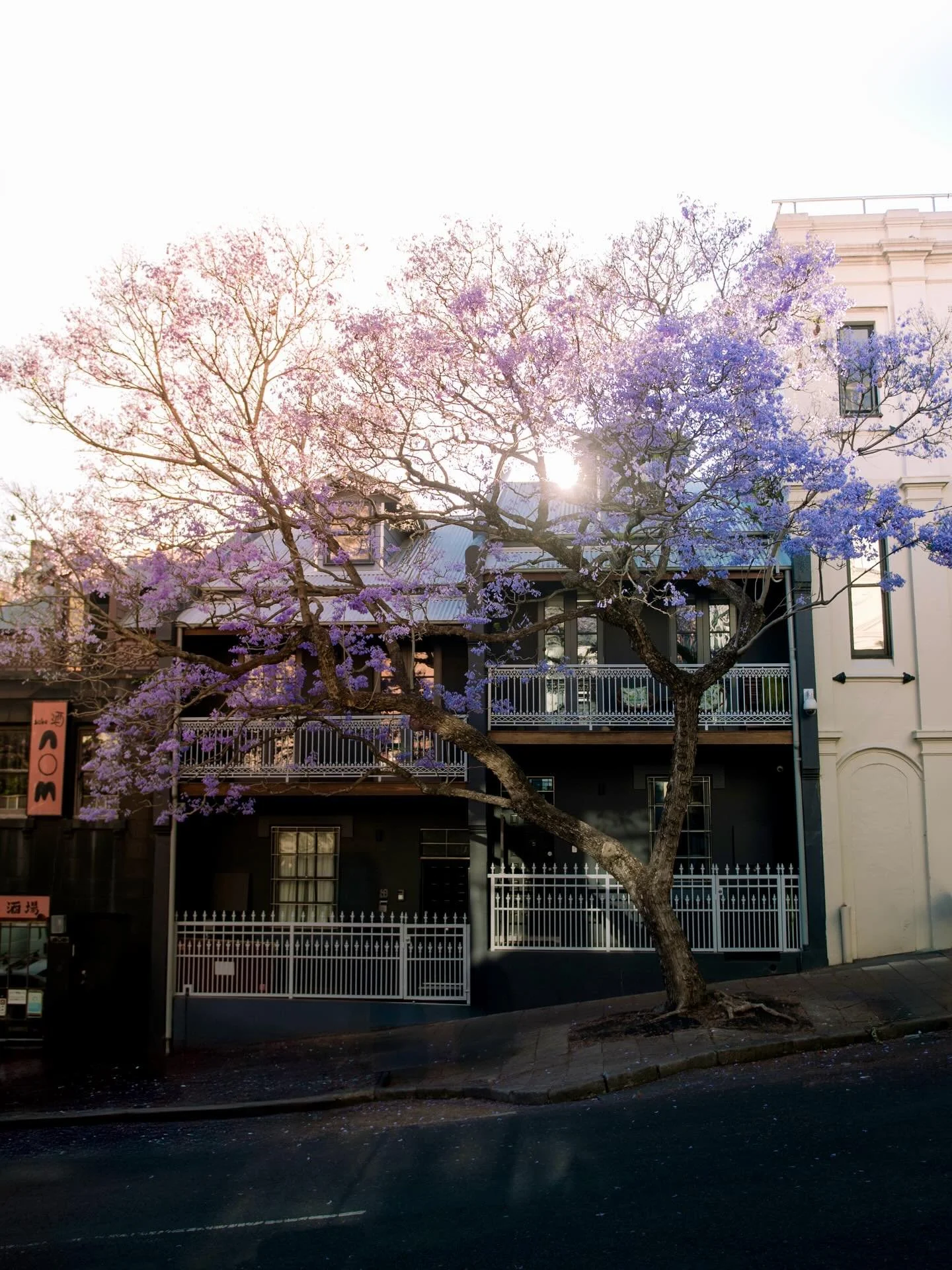 Even the trees are hot 💃