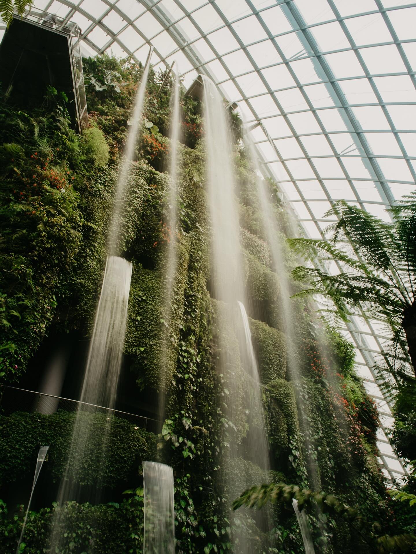 One of these was taken on an iPhone&hellip; can u guess which one 😶&zwj;🌫️