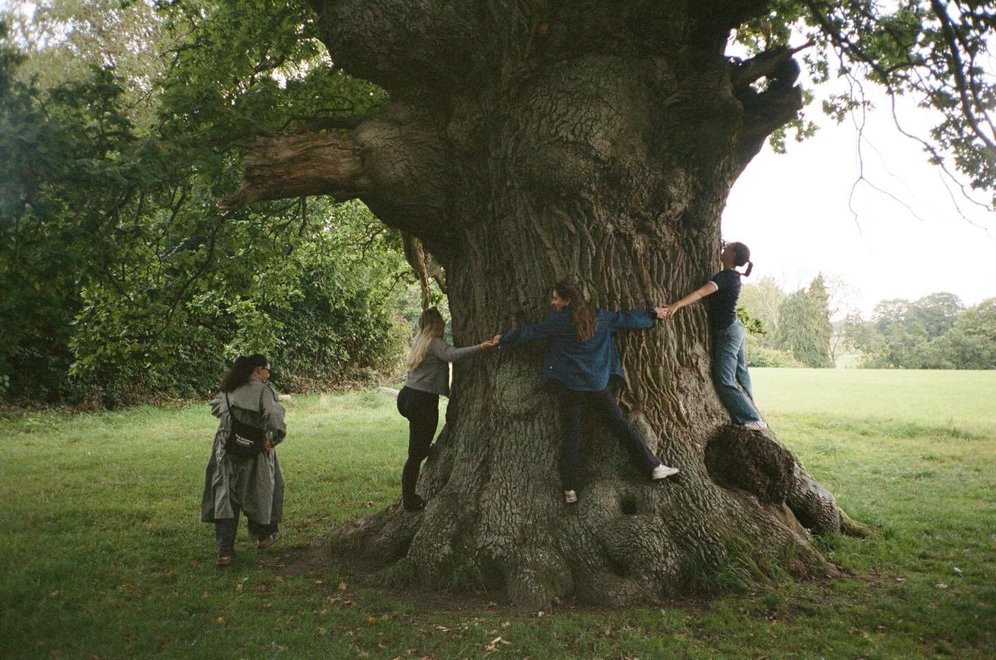 Fall in love again and again 💛