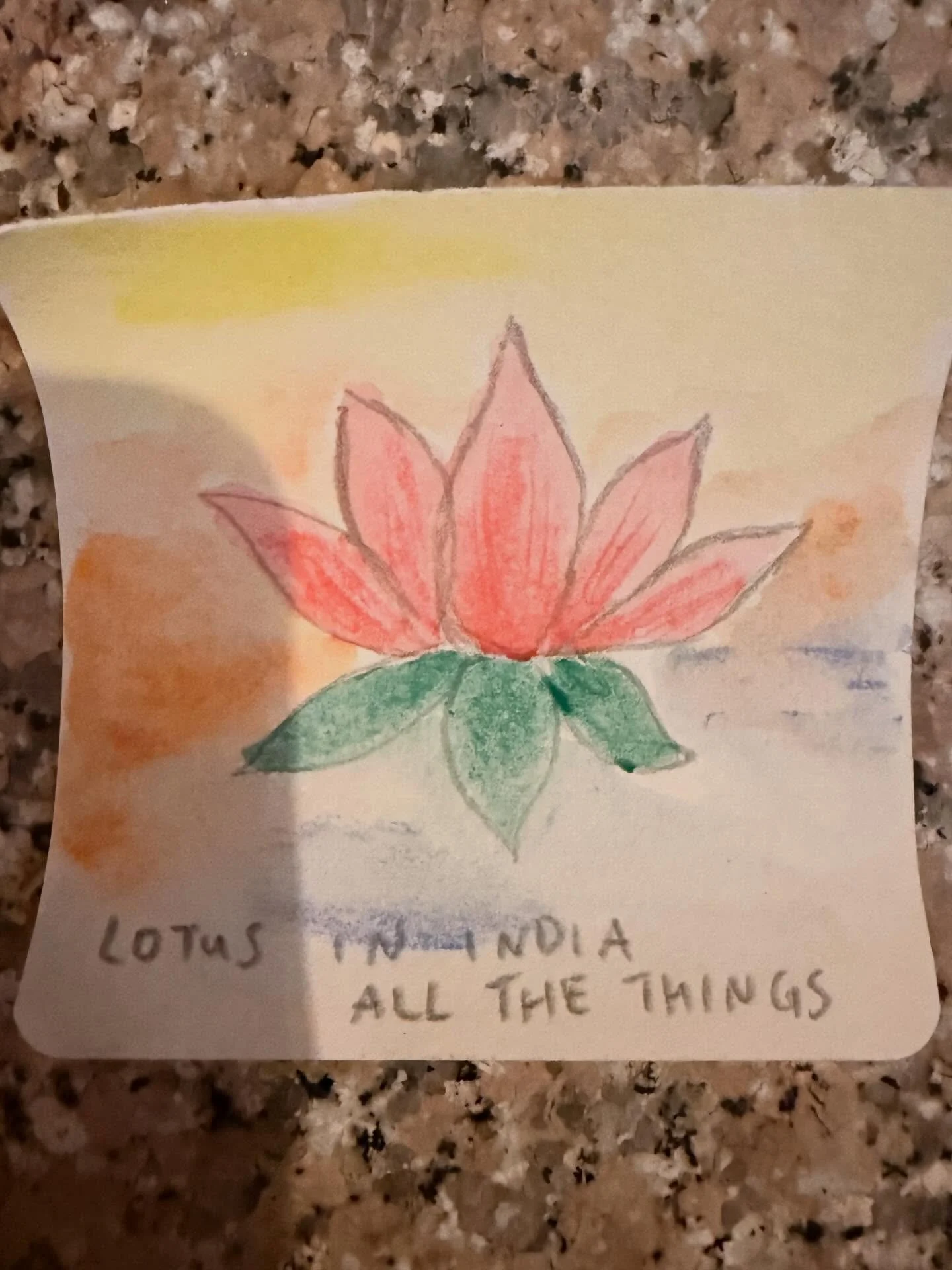 Only a fraction of the memories we made on our trip. I love these people so much- thank you thank you thank you for sharing this experience with me. ❤️ India ALL THE THINGS