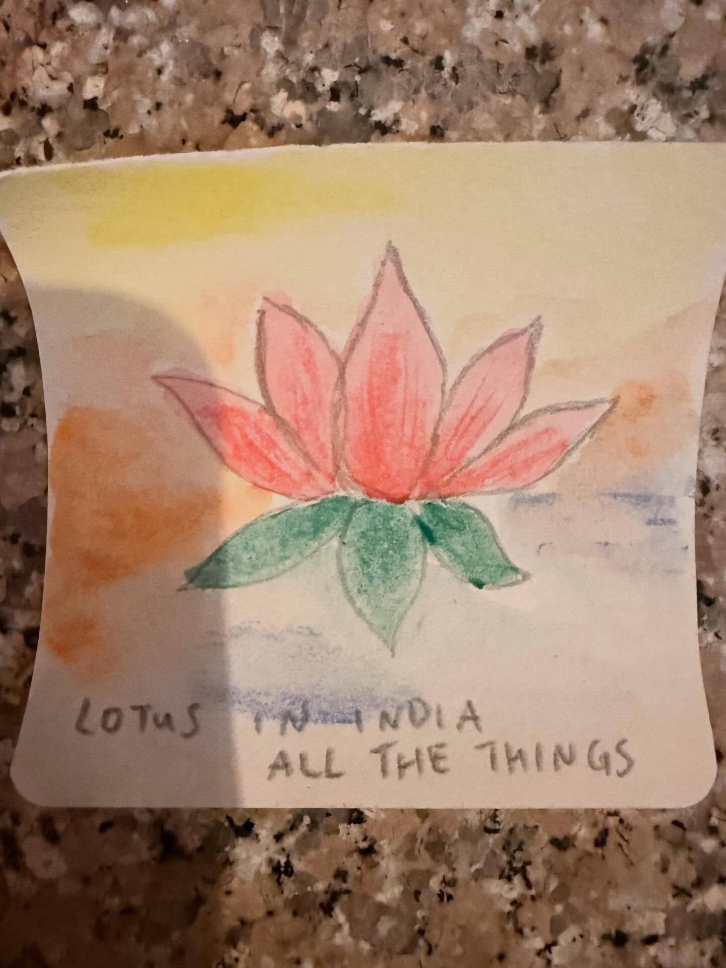 Only a fraction of the memories we made on our trip. I love these people so much- thank you thank you thank you for sharing this experience with me. ❤️ India ALL THE THINGS