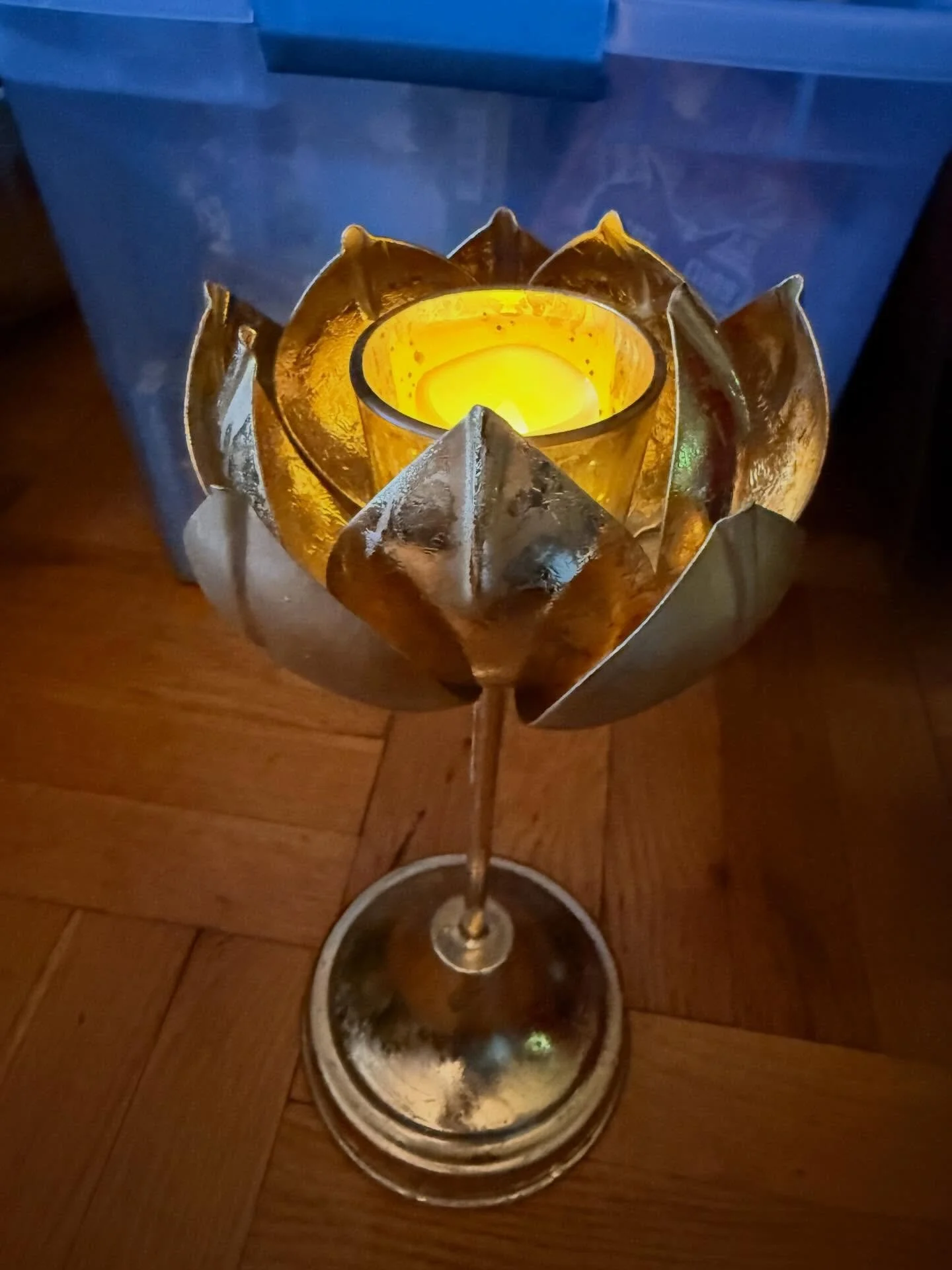 𝘔𝘢𝘳𝘥𝘢𝘷𝘢- a softness of being that does not collapse, allowing gentleness and warmth to exist alongside self-respect and inner solidity. ⁣
⁣
I&rsquo;ve been thinking a lot about softness and gentleness lately. How allowing myself and my practic