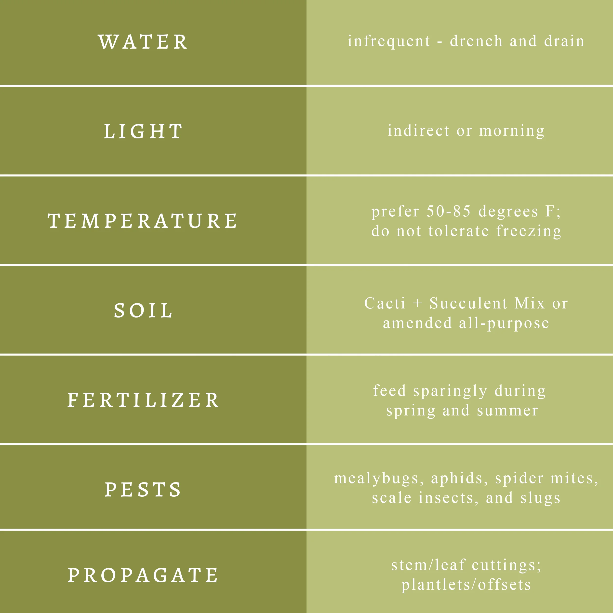 succulentcareguide.jpg