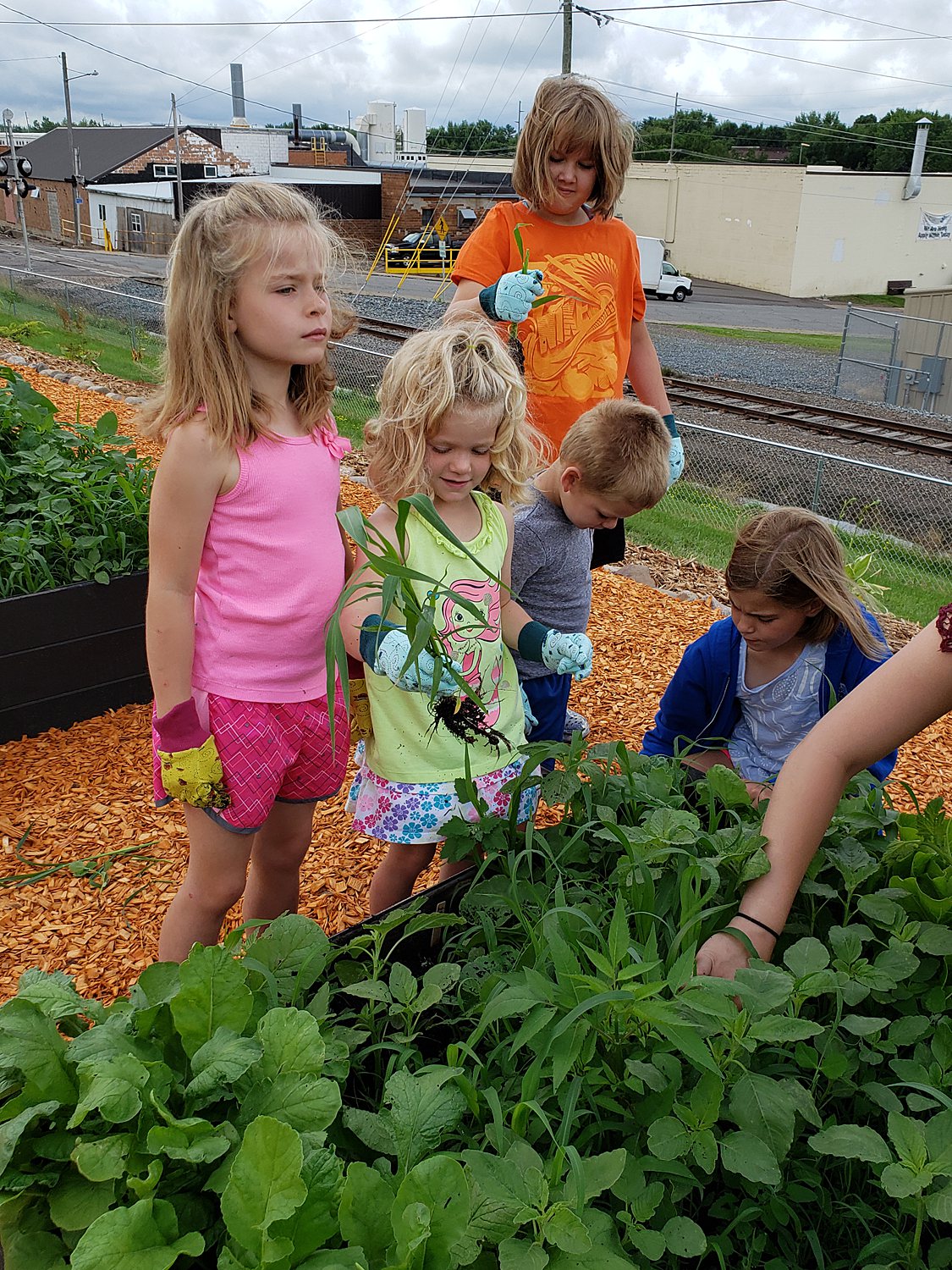 19-Green-Handed-Gardeners-Hueys-Hideaway-Farm-Day.jpg