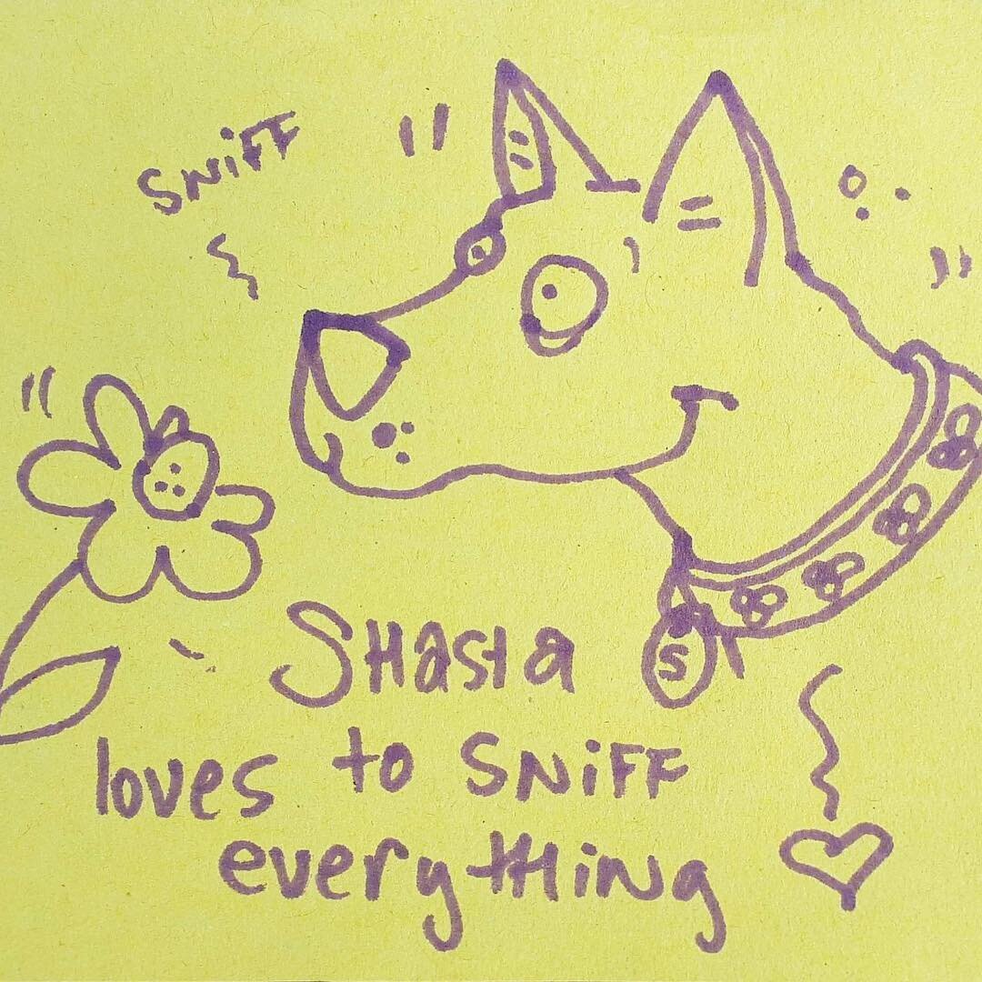 &ldquo;Shasta loves to sniff everything&rdquo; thank you for this sweet cartoon, the expression is just perfect 💛
++Also! If you like #dogs be sure to drop by the @lakecountryartgallery for the &ldquo;To the Dogs&rdquo; Member exhibition open now. L
