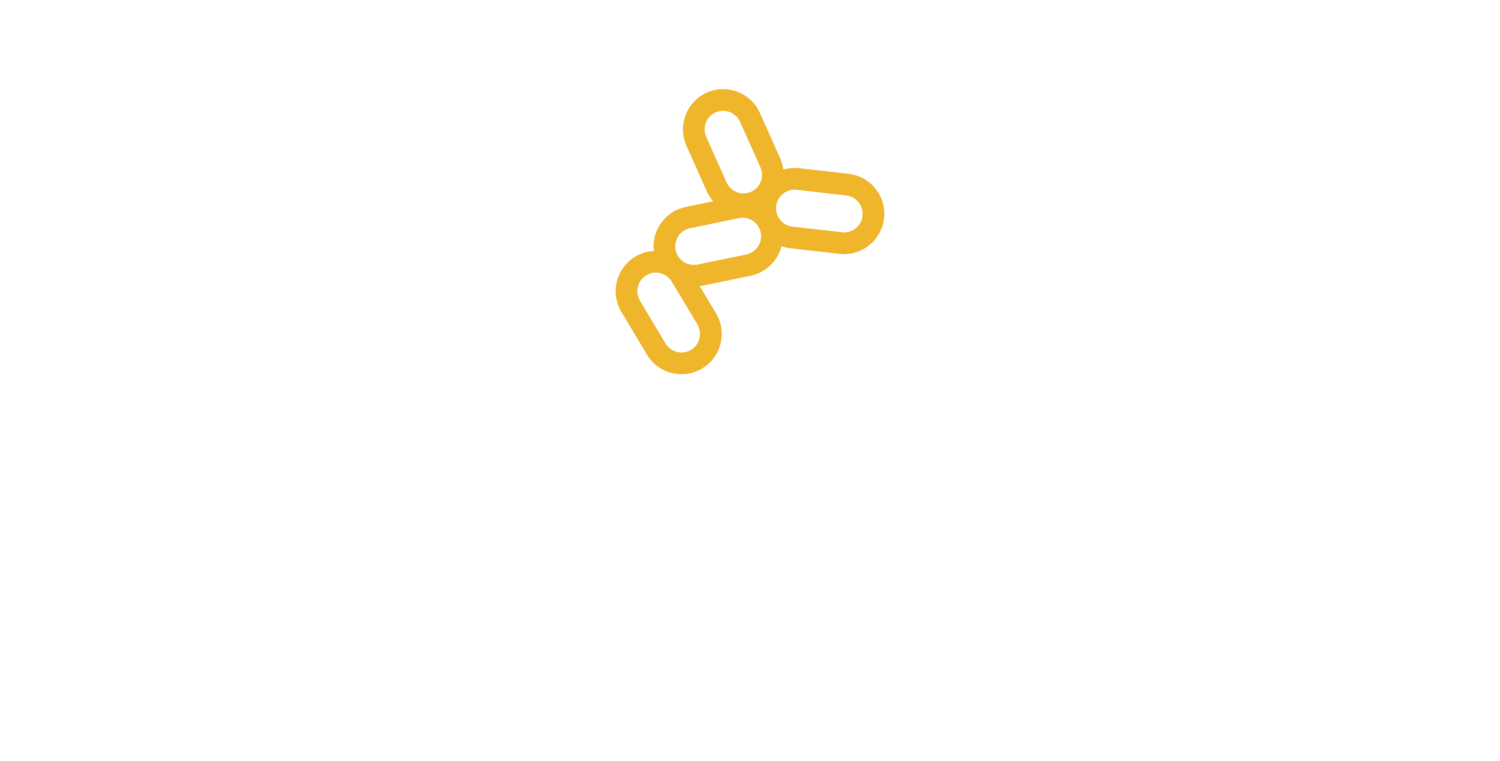 Elemental Ales