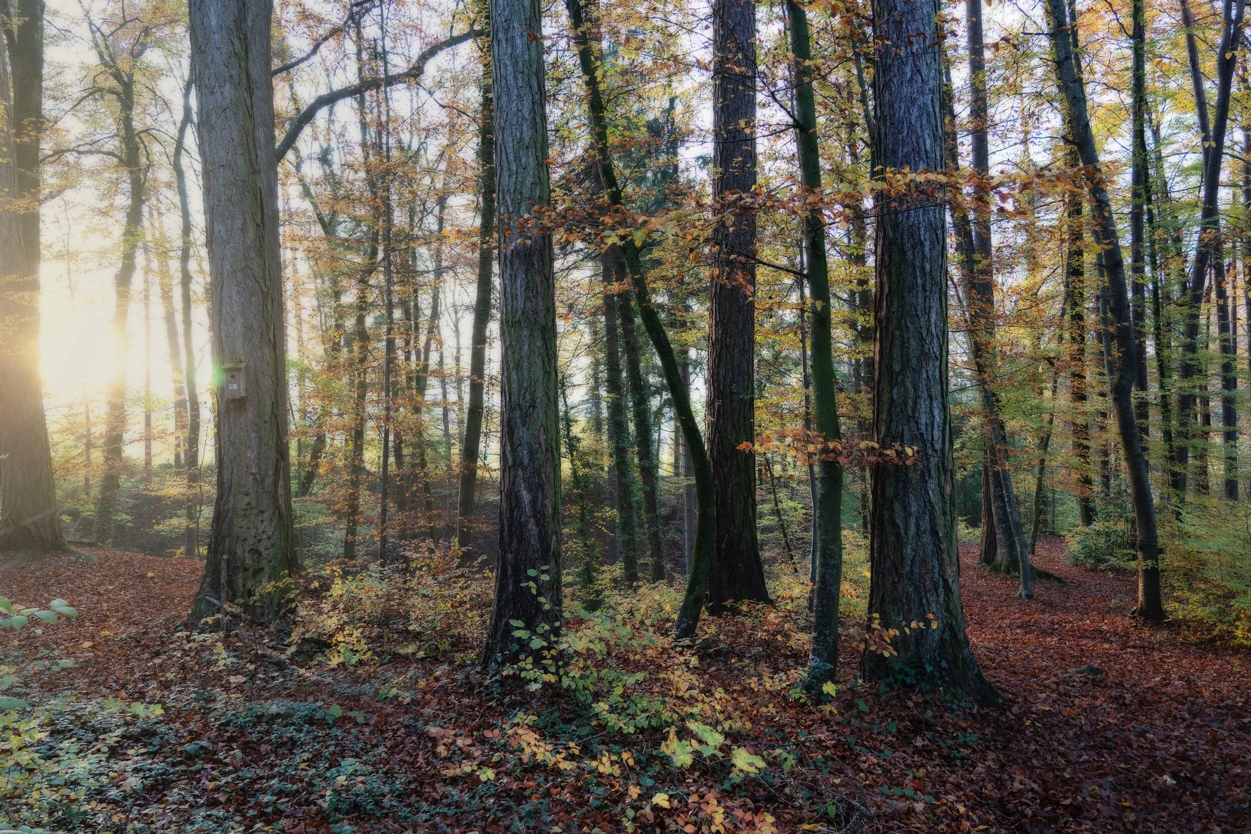 Making Space for Wonder
