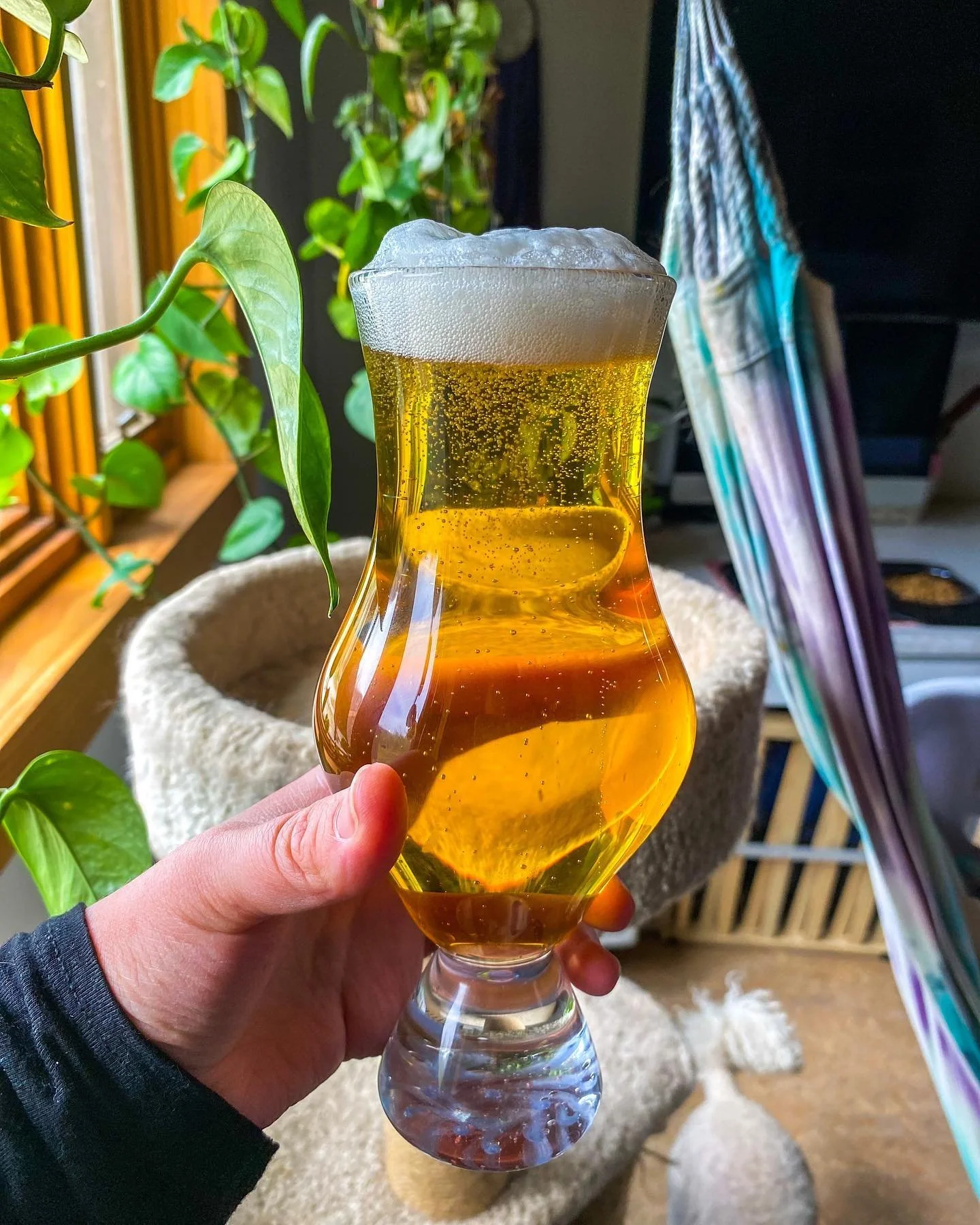 Marketing- Beer Stein.jpg