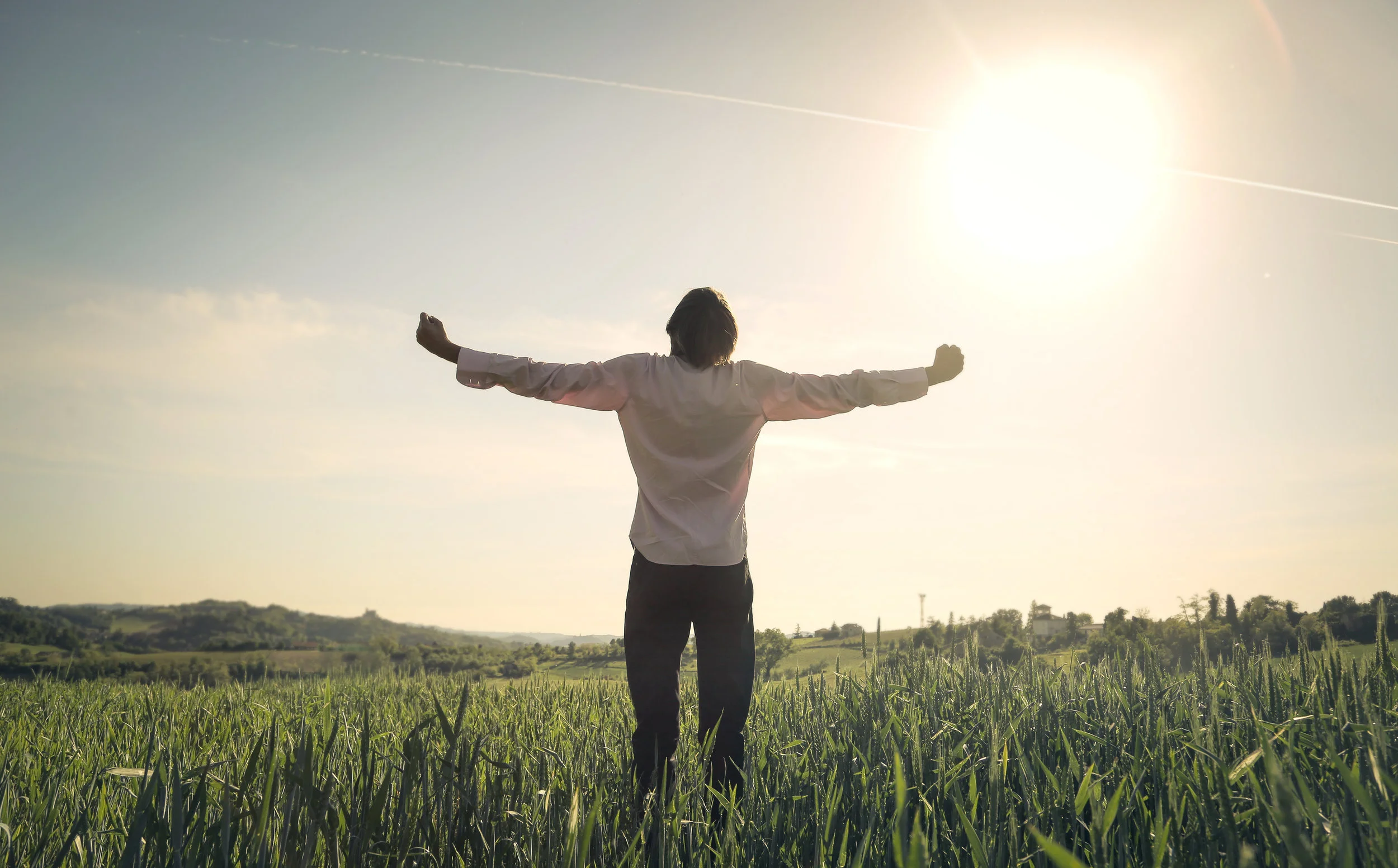 Strategy for Victory