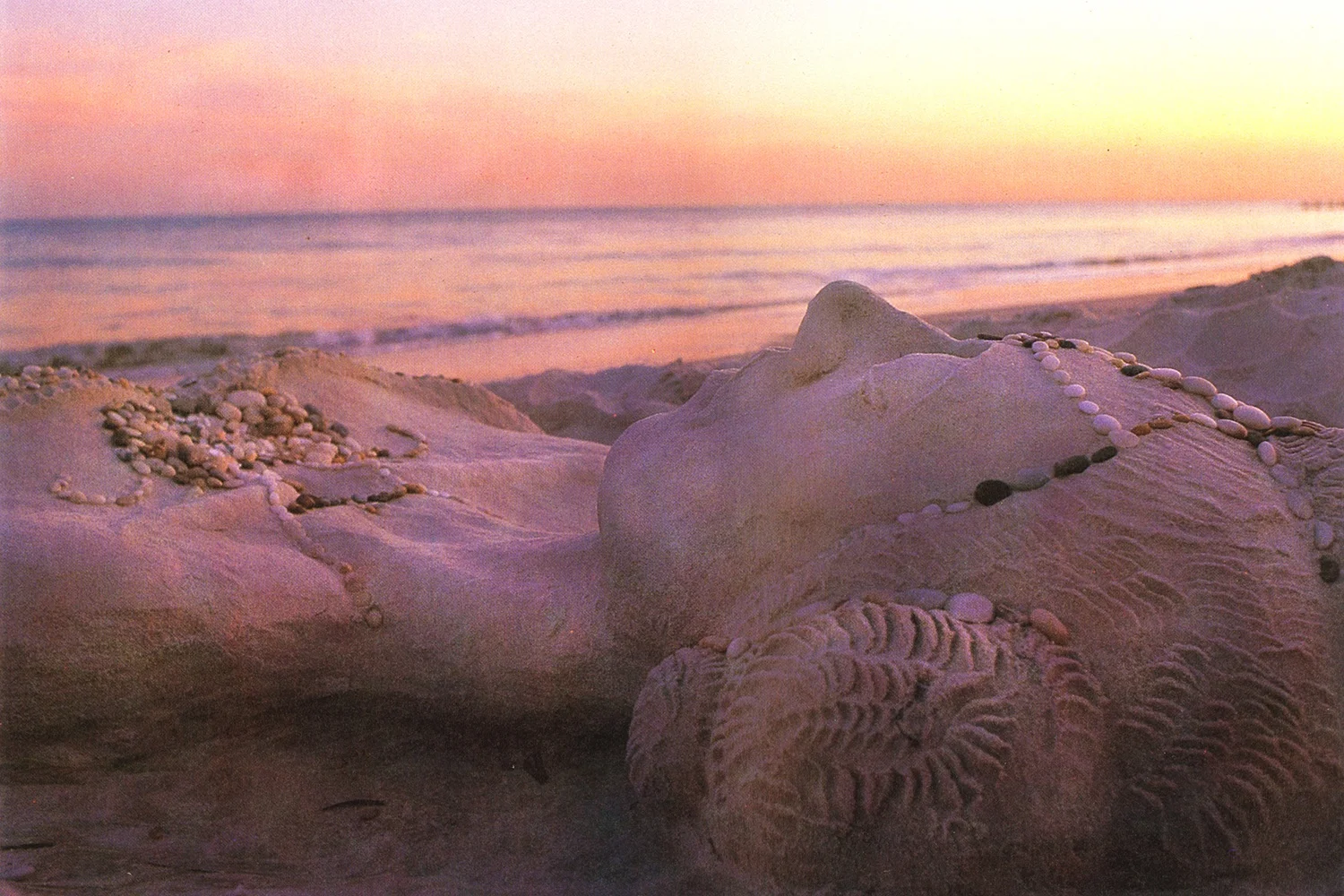 Life & Sand