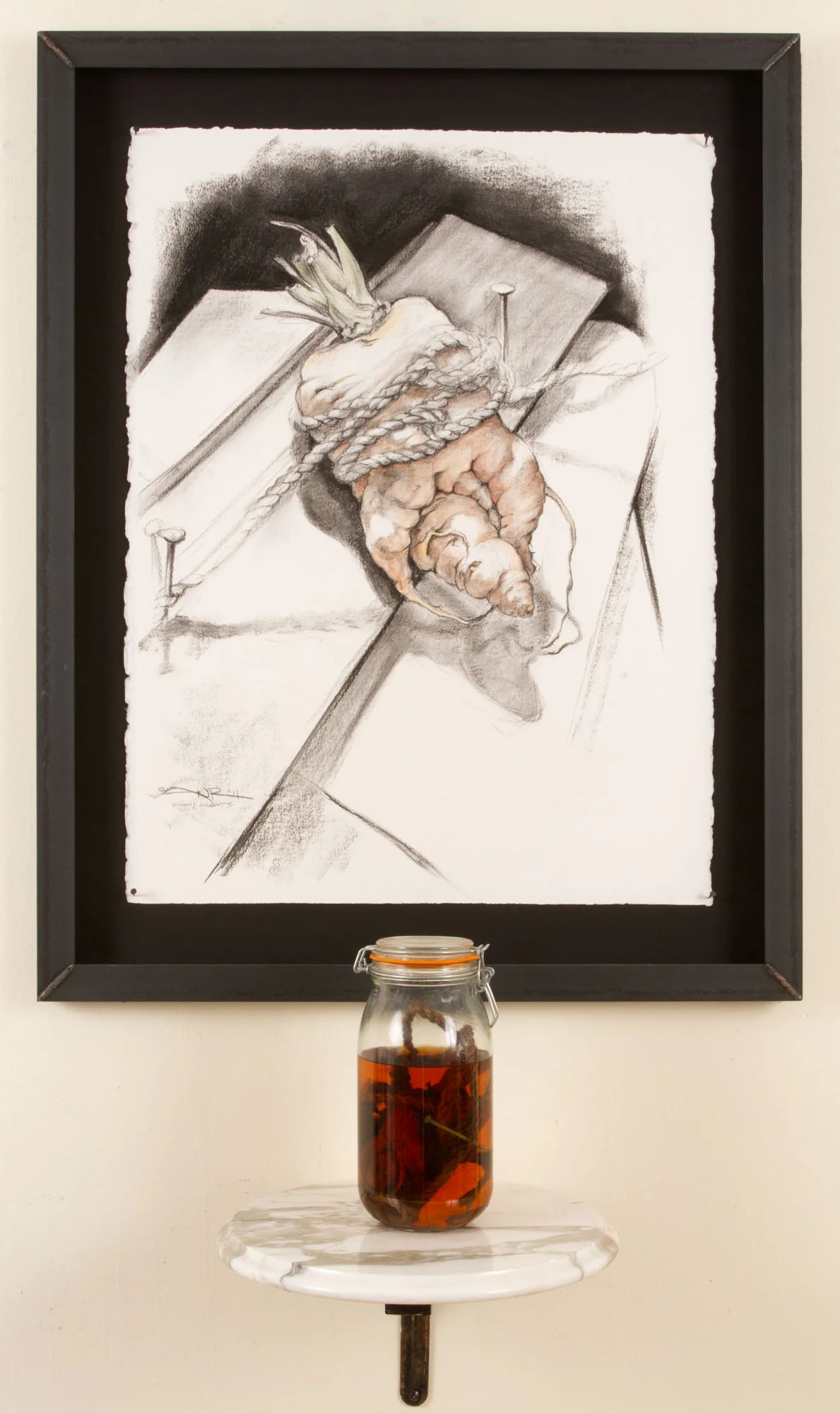 Knotty Carrot & Preserved Model Installation, 2012