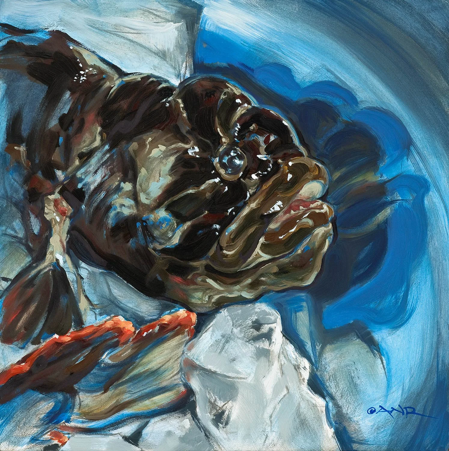 Monkeyfaced Eel, 2013