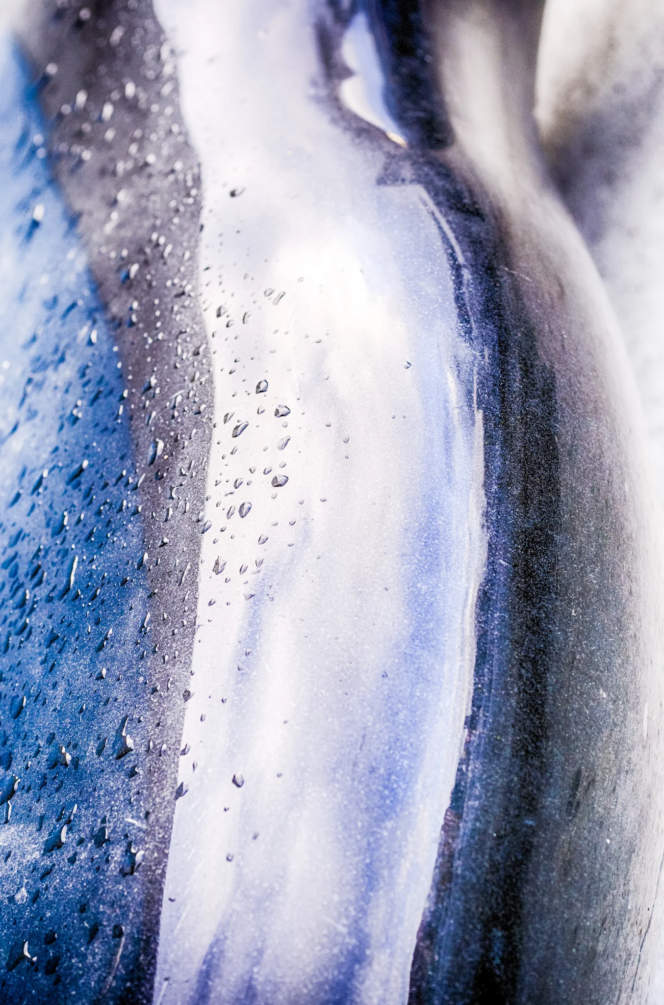 JF606990_HDR.jpg