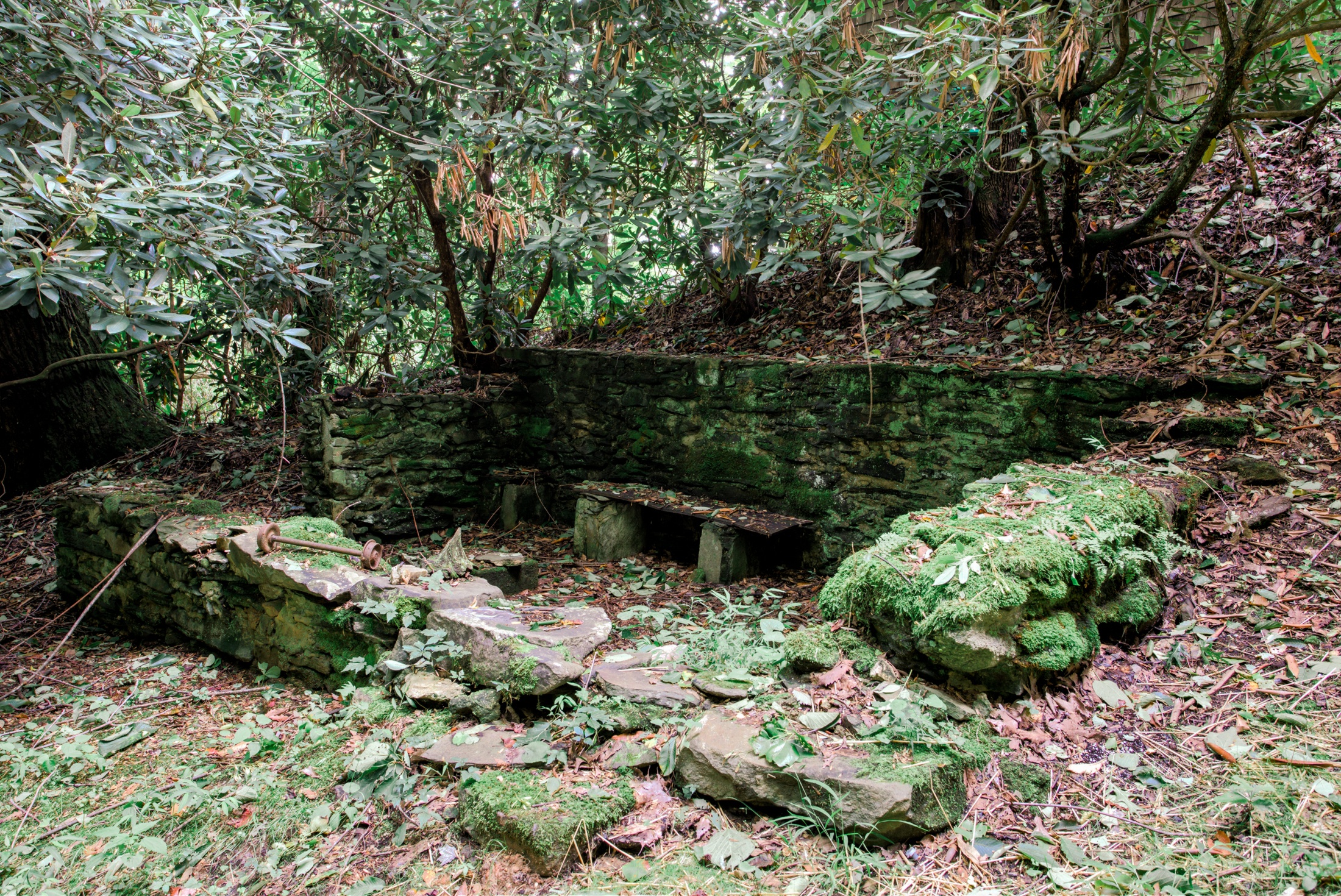 LaurelFalls_Yonder_0083.jpg