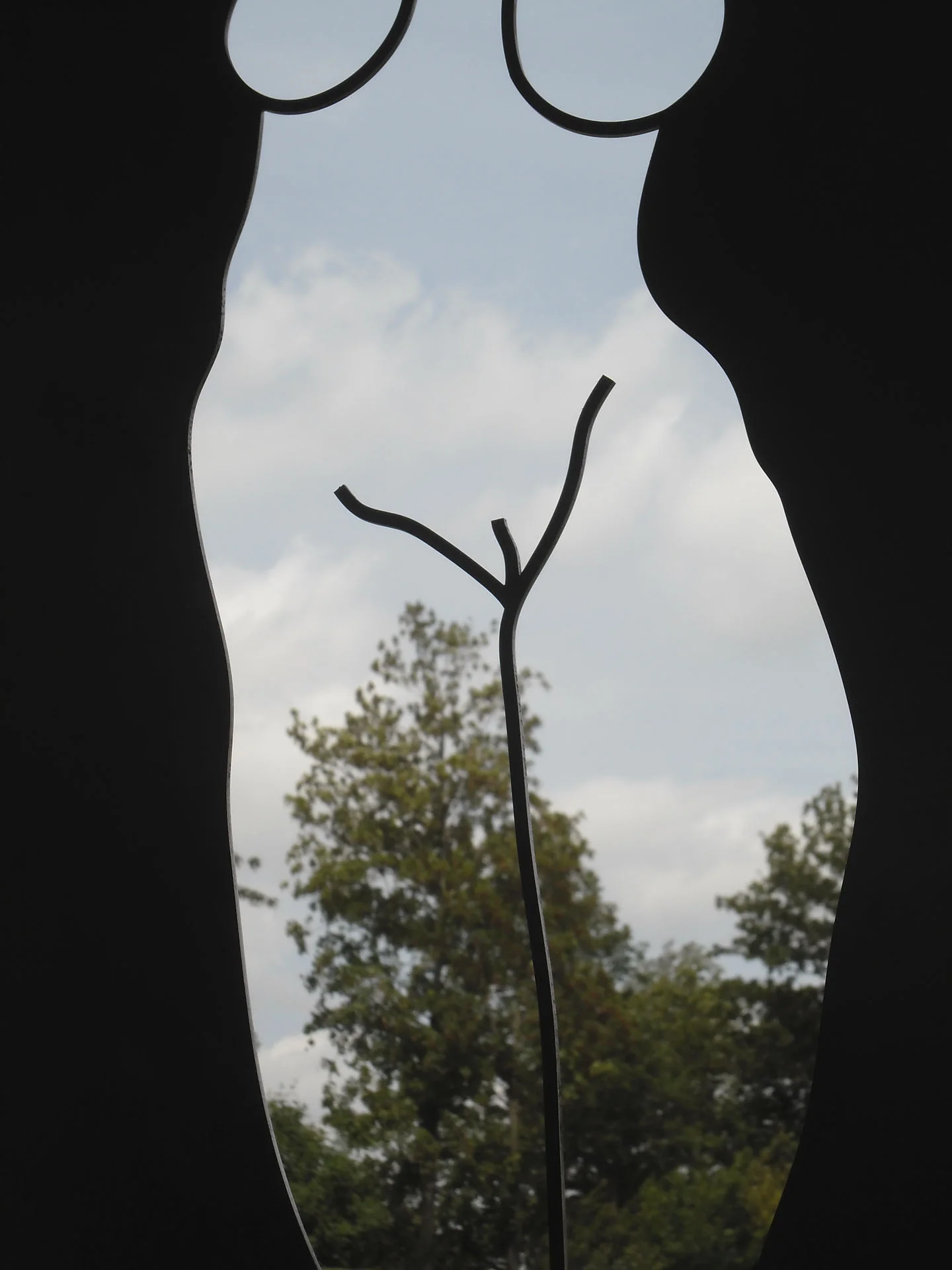 nim12-SAM_0464-001.jpg