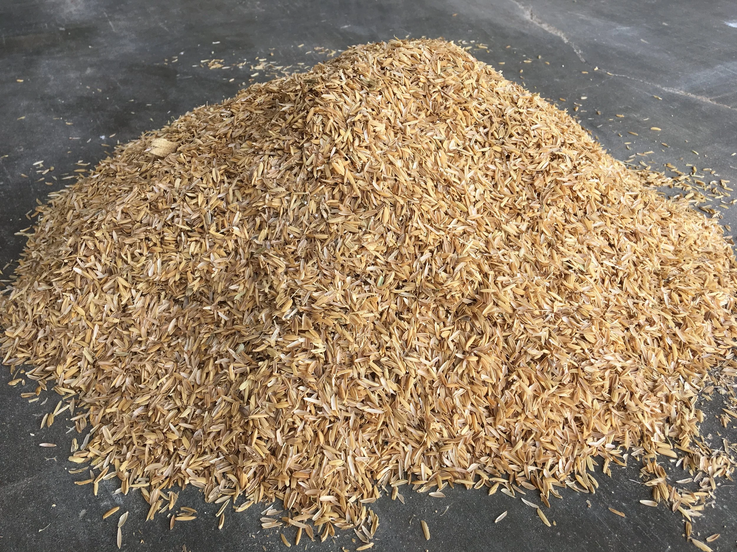 Rice Hulls
