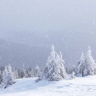 Due to the Snow Storm tomorrow, 1/25, we will be open at 10:00am closing at 1:00.