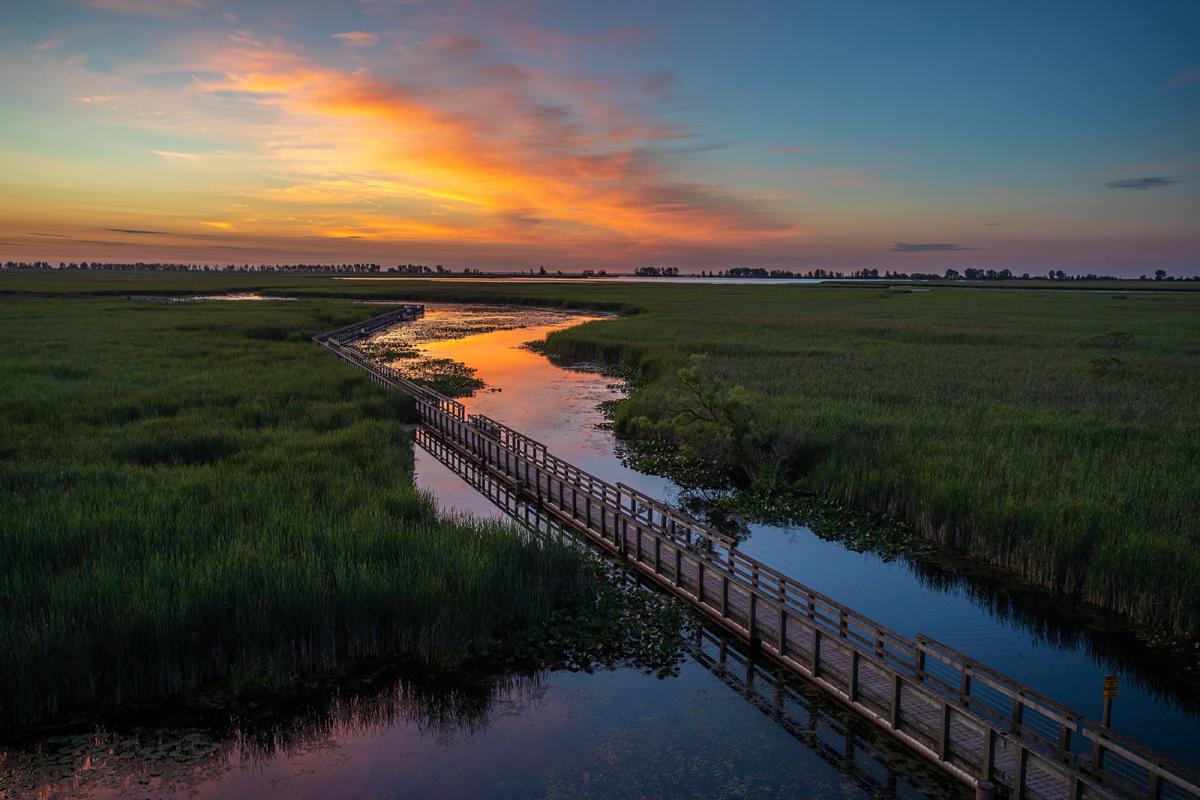 Point Pelee (Photo: Zach Baranowski/Canadian Geographic).