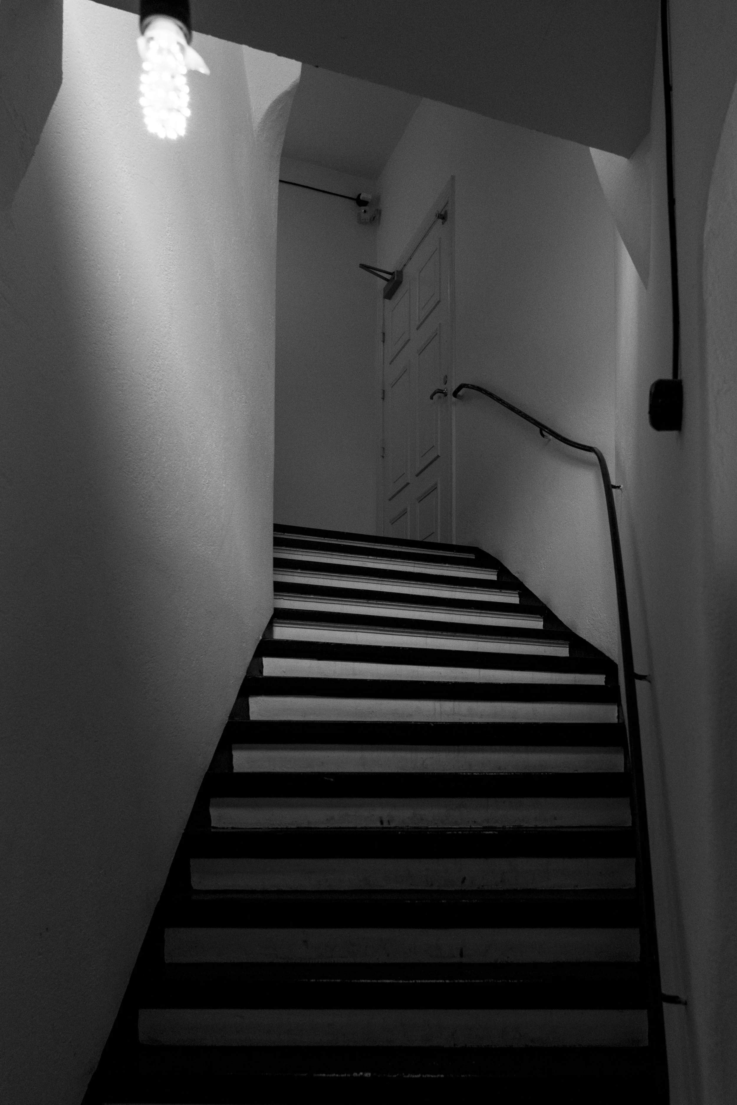 DSC_3071.jpg