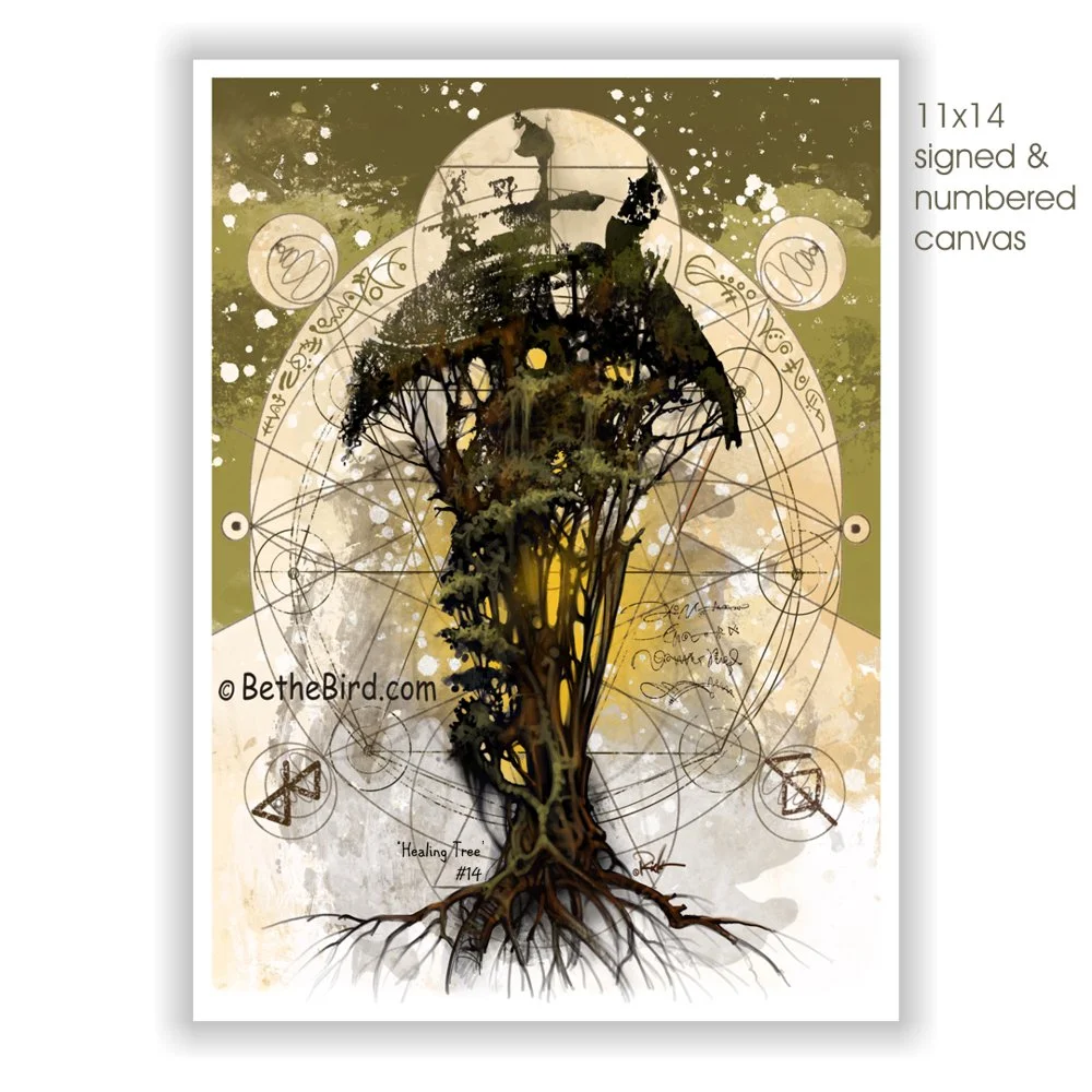 11x14 Tree 14 web sq.JPG