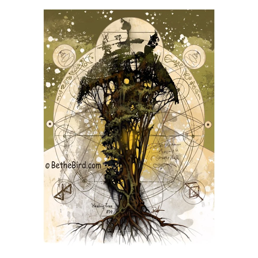 Tree 14 web 1 sq.JPG