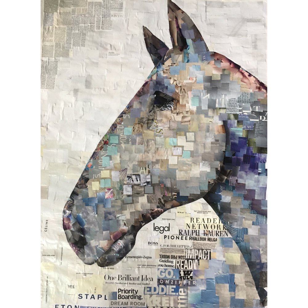 Horse & animal portraits by Whitney L Anderson