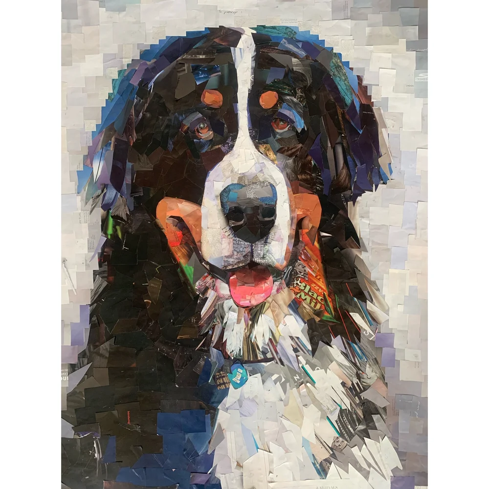 Custom pet portraits by Whitney L Anderson