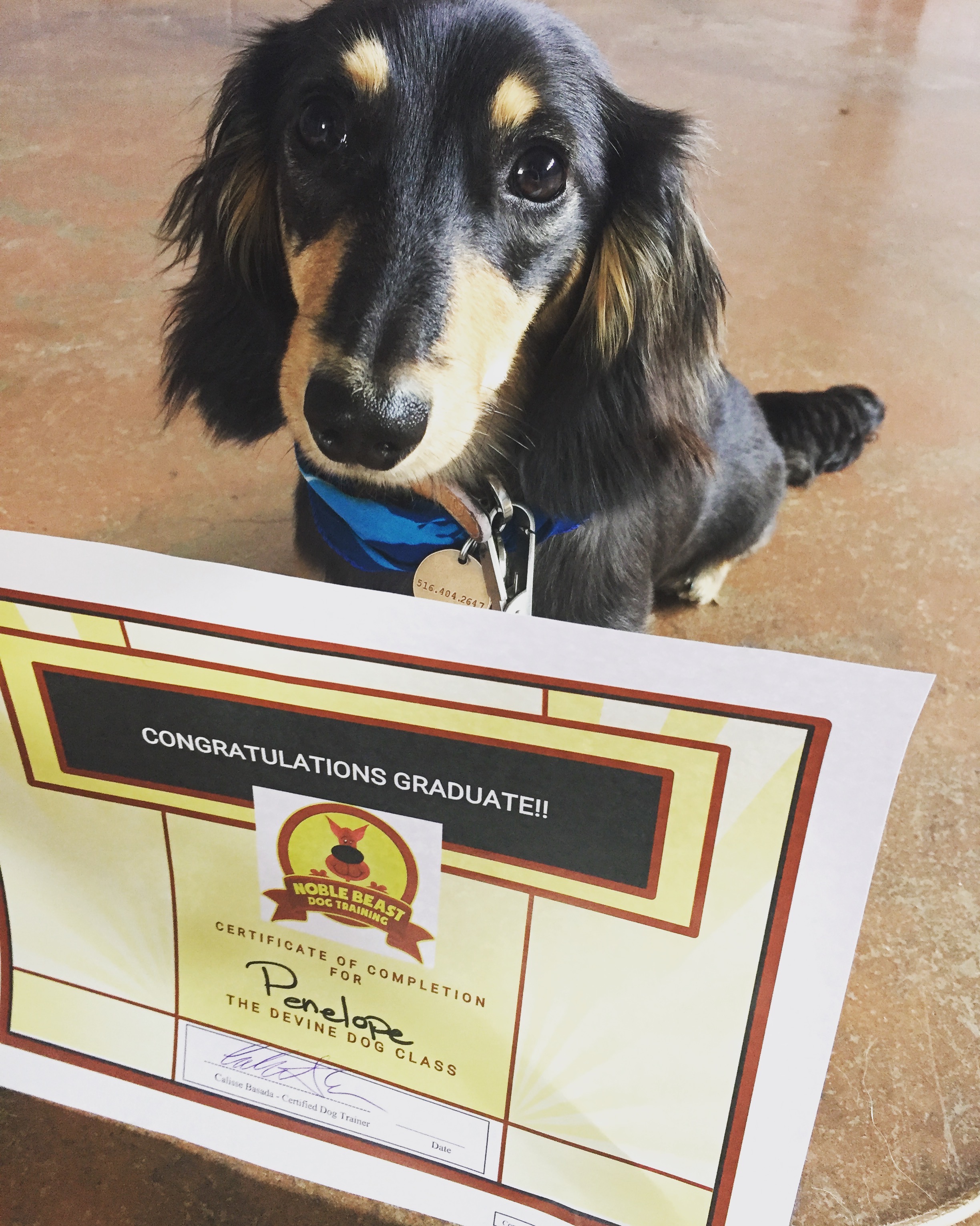 Penelope graduate.jpg