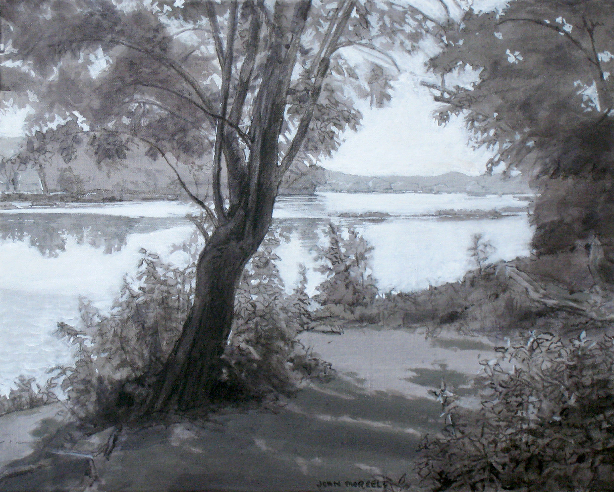Potomac Reflections