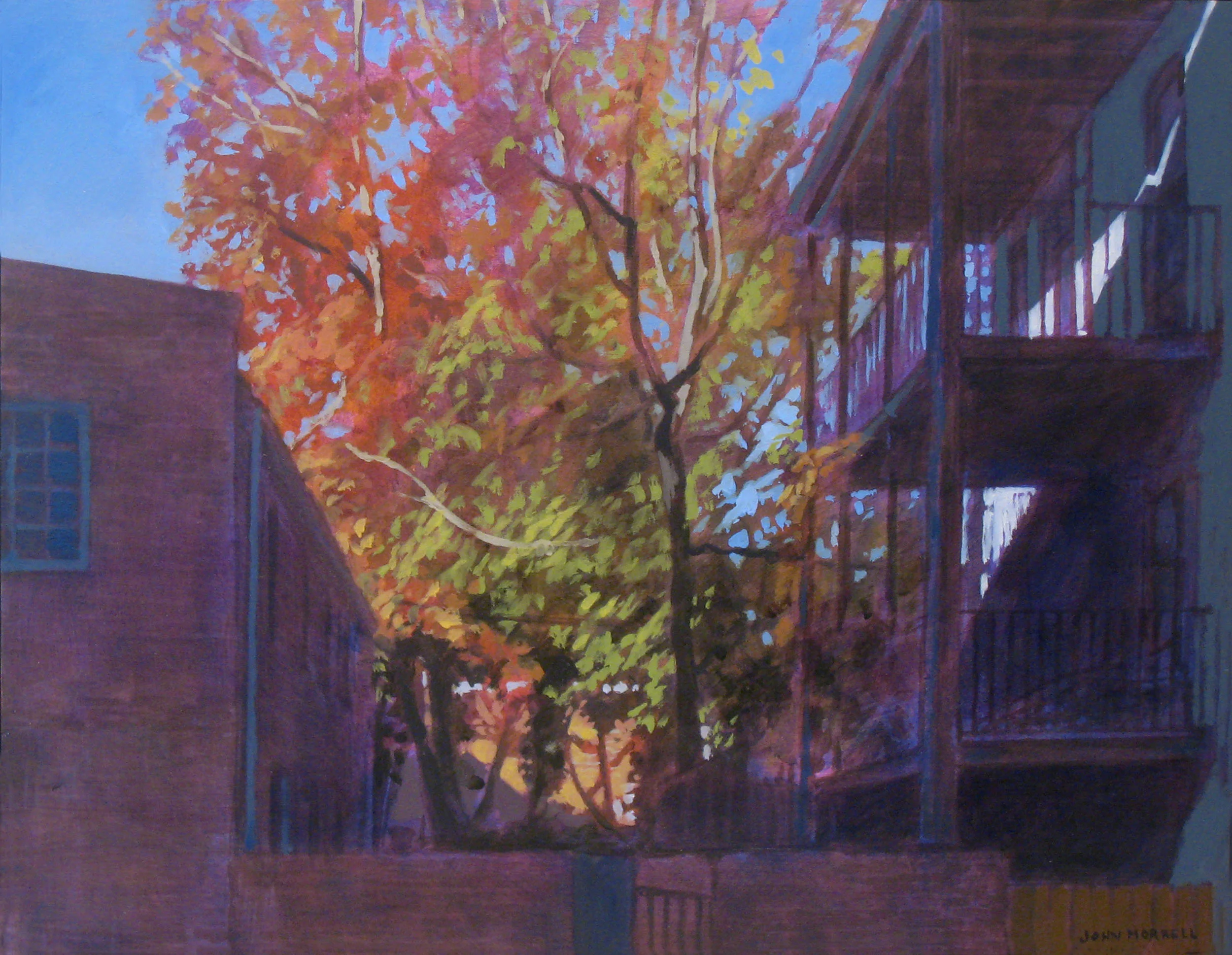 N Street (Autumn)
