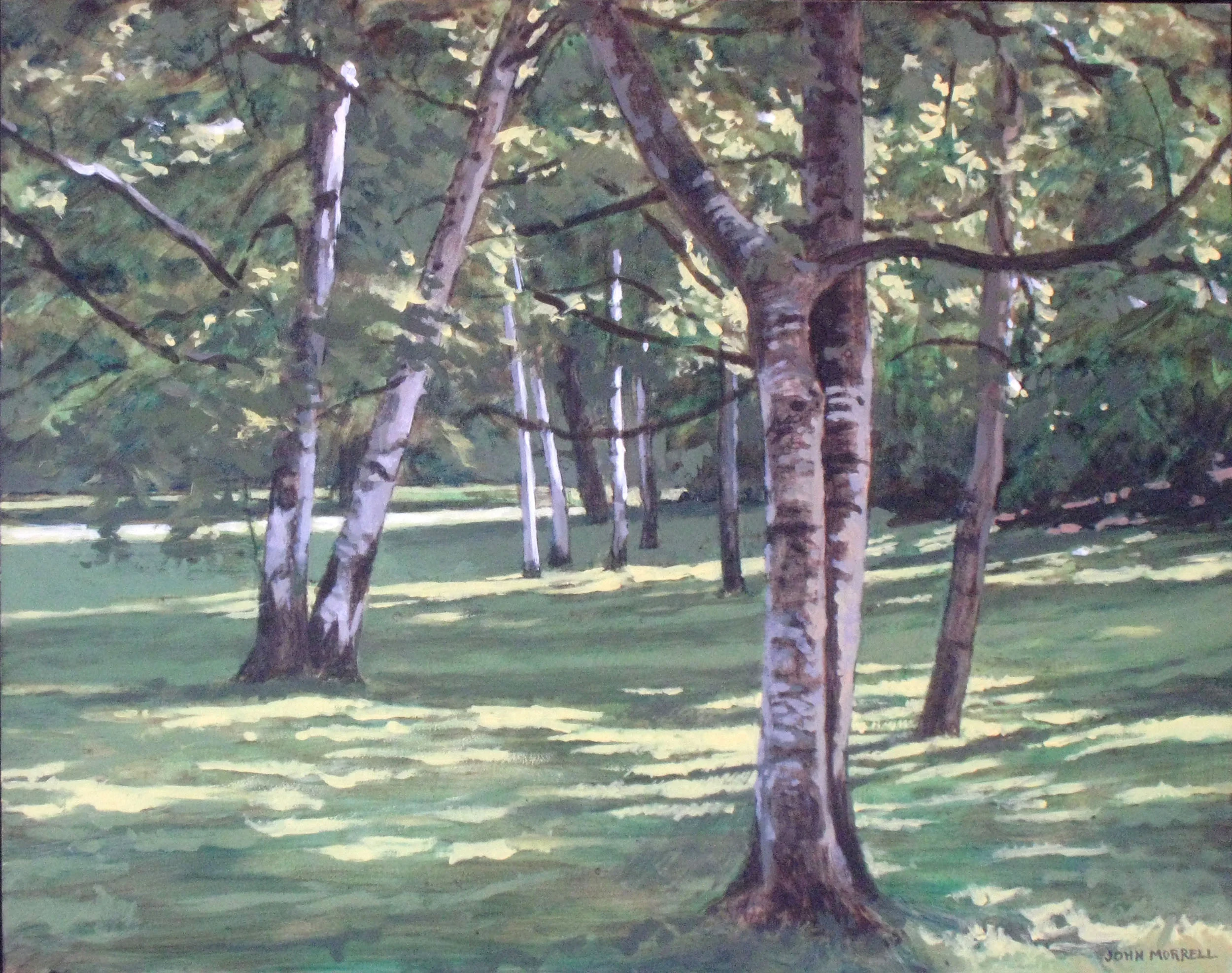 Birches