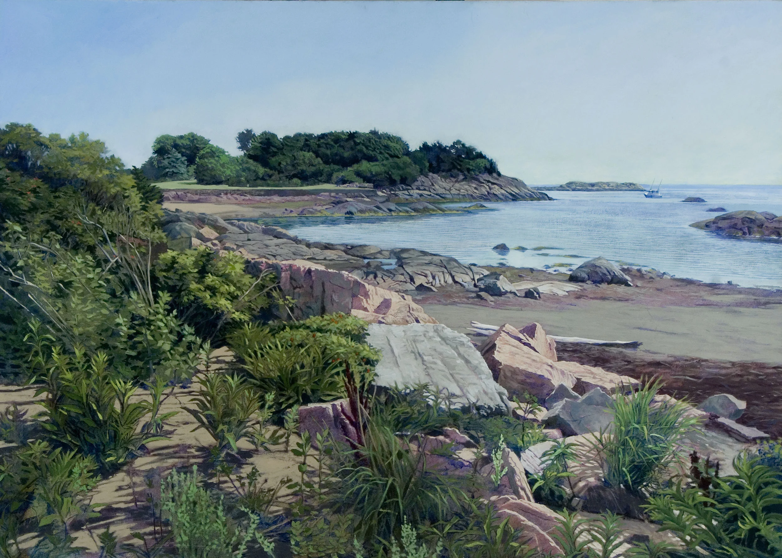 The Cove (Newport, Rhode Island)