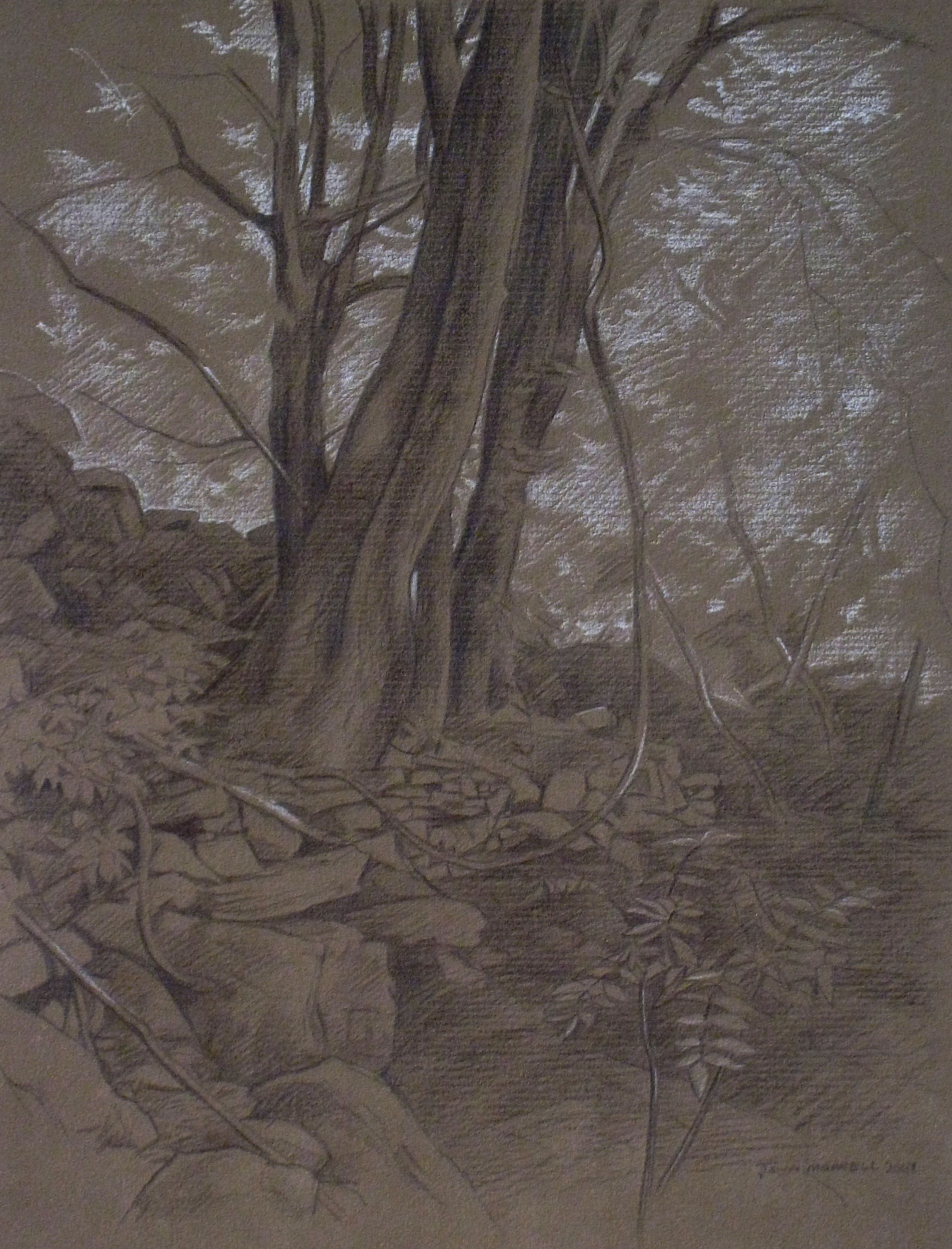 Path (Niagara River Gorge)