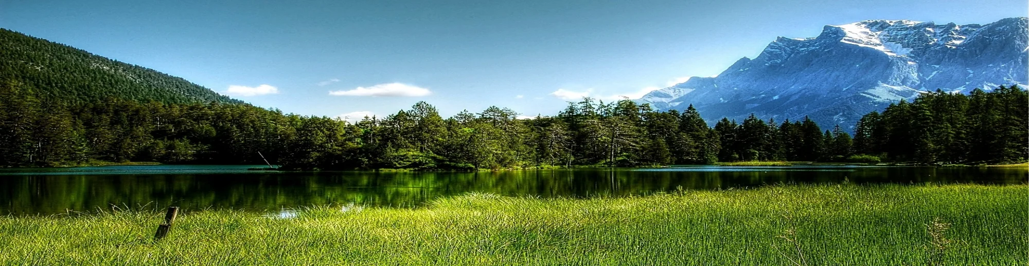 pexels-photo-462149 (1).jpeg