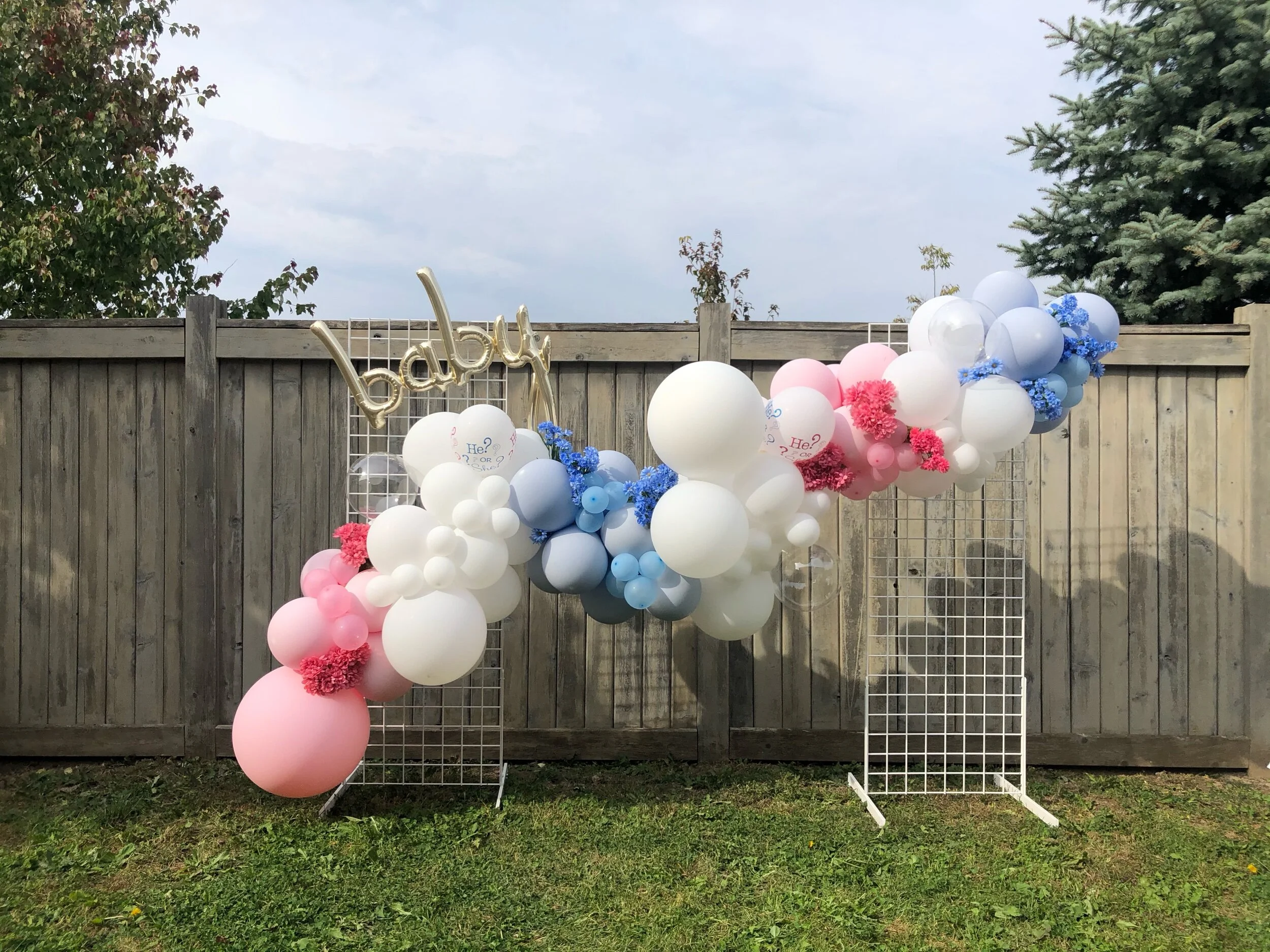 COVID-Safe Gender Reveal (Free Printable)